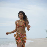 Sanjana Galrani hot in Mugguru pictures | Picture 47985